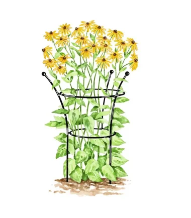 Sturdy Metal Plants Support Frame For Peonies, Rose Ornamental Flower Garden Cage | Wide Top Rings